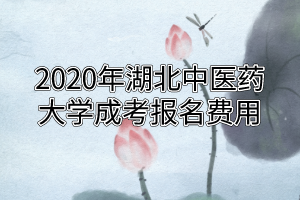 2020年湖北中医药大学成考报名费用