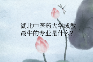 湖北中医药大学成教最牛的专业是什么?