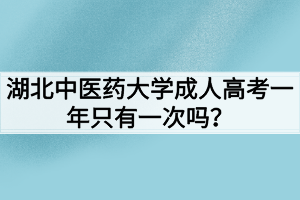湖北中医药大学成人高考一年只有一次吗?
