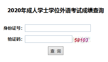 2020年湖北中医药大学成考学位英语成绩查询入口