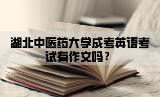 湖北中医药大学成考英语考试有作文吗?