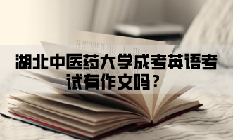 湖北中医药大学成考英语考试有作文吗？